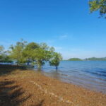 Koh Lanta Cultural Tuk-Tuk Tour: Old Town, Batik & Mangroves - What Makes This Tour Stand Out?