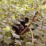 Koh lanta:National Park + Old Town + Local Island Day Tour - What You Get and What You Need to Consider