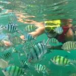 Koh Phangan Snorkelling Cruise with Sunset - Who Will Get the Most Out of This Experience?