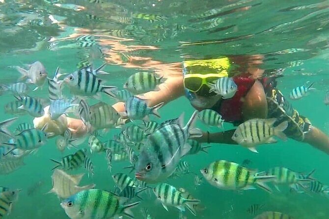 Koh Phangan Snorkelling Cruise with Sunset - Who Will Get the Most Out of This Experience?