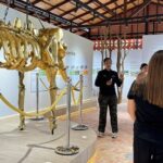 Koh Samui Elephant Home Sanctuary and the first Elephant Museum - Who Will Love This Tour?