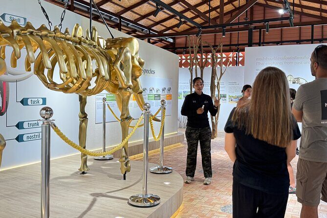 Koh Samui Elephant Home Sanctuary and the first Elephant Museum - Who Will Love This Tour?