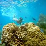 Koh Tao: Snorkeling Trip to Nang Yuan Island & Hidden Bays - What Sets This Tour Apart?