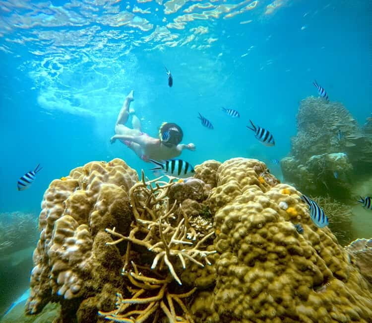 Koh Tao: Snorkeling Trip to Nang Yuan Island & Hidden Bays - What Sets This Tour Apart?