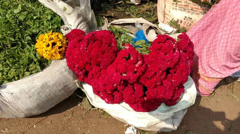 Kolkata: Half-Day Morning Tour w/ Flower Market - Exploring the Vibrant Flower Market