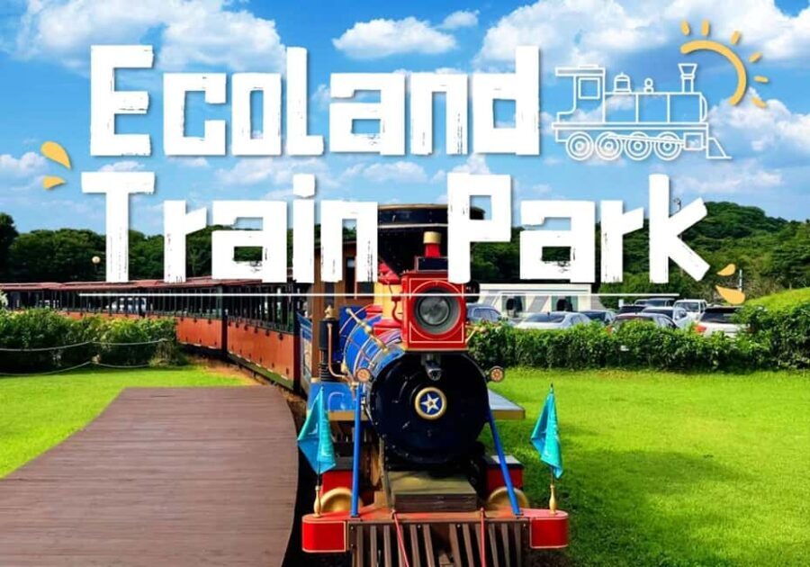 Korea Mt. Hallasan Echoland Park Forest Train & Entry Ticket - Who Will Love This Experience?