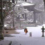 Koyasan: A Mysterious Meditation Journey - Who Will Love This Tour?