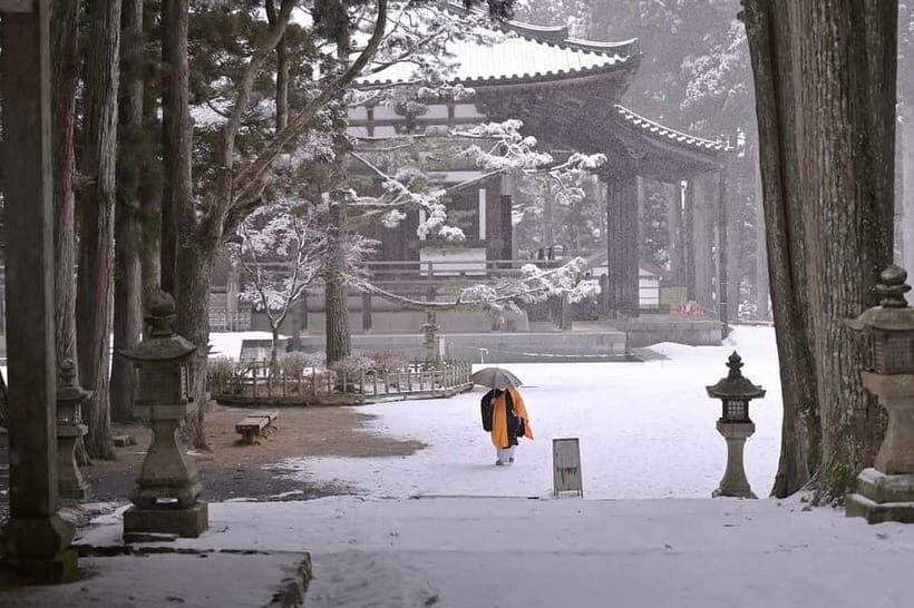 Koyasan: A Mysterious Meditation Journey - Who Will Love This Tour?