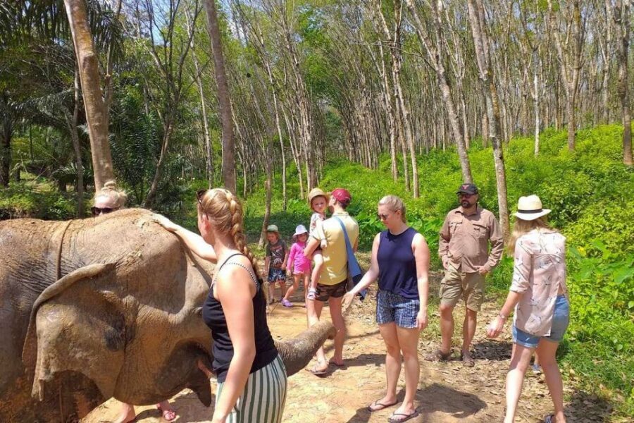 Krabi: Elephant Care House Guided Tour with Hotel Transfers - What Reviewers Love Most