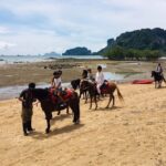 Krabi: Horseback Riding on the Beach - Practical Details and What to Expect