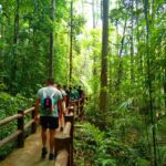 Krabi: Tiger Temple, Hot Springs & Crystal Pool Jungle Tour - Detailed Breakdown of the Itinerary