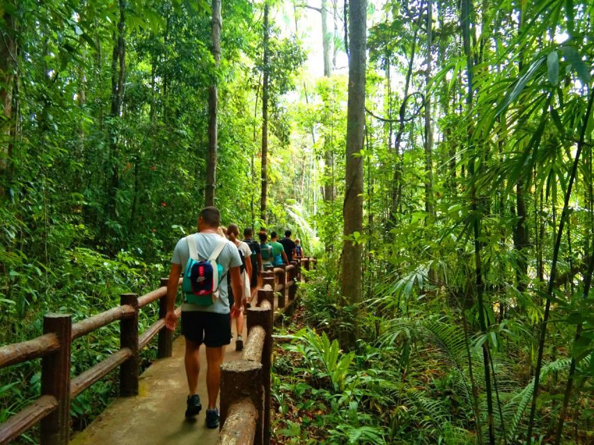 Krabi: Tiger Temple, Hot Springs & Crystal Pool Jungle Tour - Detailed Breakdown of the Itinerary