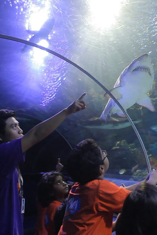 Kuala Lumpur: Aquaria KLCC Entry Ticket - The Highlights: What Youll Experience