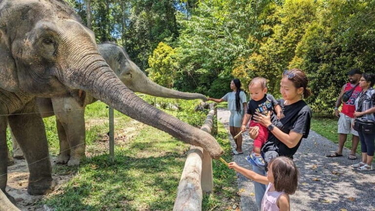 Kuala Lumpur: Batu Caves & Kuala Gandah Elephant Sanctuary - Visiting Kuala Gandah Elephant Sanctuary