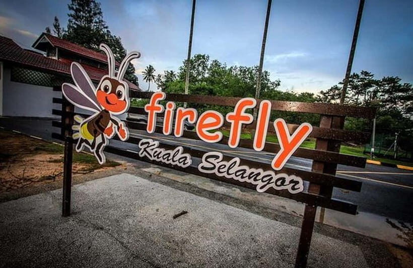 Kuala Lumpur: Fireflies Tour with Dinner and Hotel Pickup - Who Will Love This Tour?