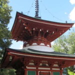 Kudoyama: Foot of Koyasan Historical Town Cycling Tour - Who Will Love This Tour?