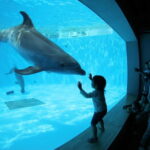Kujukushima: Aquarium Umikirara Admission Ticket - Frequently Asked Questions
