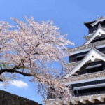 Kumamoto: Castle Admission Ticket - Who Will Love This Experience