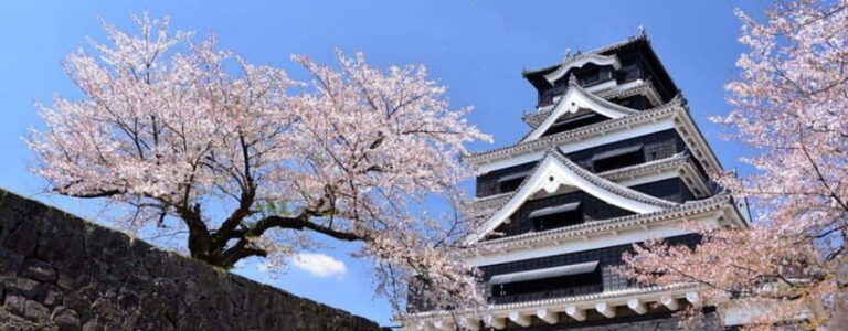 Kumamoto: Castle Admission Ticket - Who Will Love This Experience