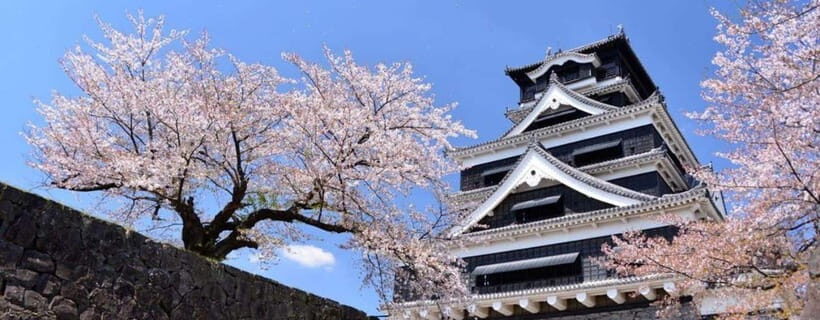 Kumamoto: Castle Admission Ticket - Who Will Love This Experience