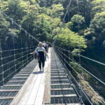 Kumano Kodo Pilgrimage Tour with Licensed Guide & Vehicle - Why This Tour Is a Great Choice