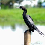 Kumarakom: Sunrise Cruise With Village Life and Local Food - Why This Tour Offers Value