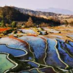 Kunming: 2-Day Honghe Hani Yuanyang Rice Terraces - Who Is This Tour Best For?