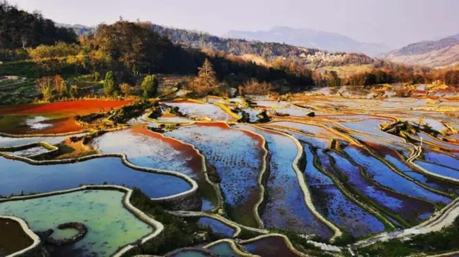 Kunming: 2-Day Honghe Hani Yuanyang Rice Terraces - Who Is This Tour Best For?