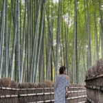 Kyoto: Avoid the Crowds at the Hidden Gems of Arashiyama - The Practicalities: What’s Included and What to Know