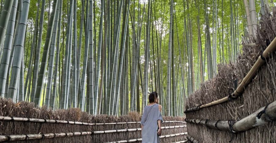 Kyoto: Avoid the Crowds at the Hidden Gems of Arashiyama - The Practicalities: What’s Included and What to Know