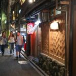 Kyoto : Bar Hopping Tour in Pontocho Alley at Night - Who is This Tour Best Suited For?