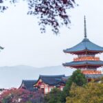 Kyoto: Customizable Full-Day Tour with Privarte Transfers - Who Is This Tour Best For?