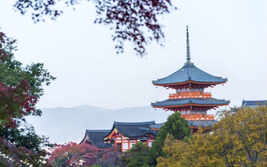 Kyoto: Customizable Full-Day Tour with Privarte Transfers - Who Is This Tour Best For?