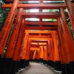 Kyoto Early Bird Tour in Uji and Fushimi Inari - Why This Tour Offers Great Value