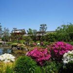 Kyoto Early Morning E Biking Tour (Shrines & Temples) - The Value of This Tour