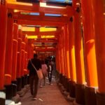 Kyoto: Fully customizable half day tour in the old capital - Who Would Love This Tour?