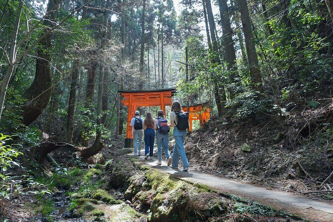 Kyoto: Fushimi Inari Hidden Hike (Private) - What to Expect from the Kyoto: Fushimi Inari Hidden Hike