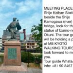 Kyoto Half Day Highlights Tour - Practical Details and Value