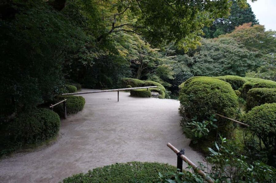 Kyoto: Hidden Temples and Tea Ceremony Tour - What to Expect: A Guided Journey Through Kyoto’s Quiet Corners