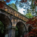 Kyoto: Higashiyama Hues: Discover Kyoto's Autumn Magic - Why This Tour Offers Great Value