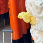 Kyoto Highlights Private Tour - Who Is This Tour Best For?