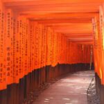 Kyoto: Immersive Arashiyama & Fushimi Inari by Private Car - Detailed Breakdown of the Itinerary
