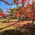 Kyoto: Kinkaku-ji Temple & Serene Garden Tour with Tickets - The Real Value of This Tour