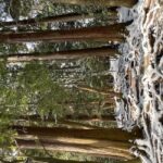 Kyoto: Kurama, Kibune, and Ohara Private Tour for Couples - What to Expect and Practical Insights