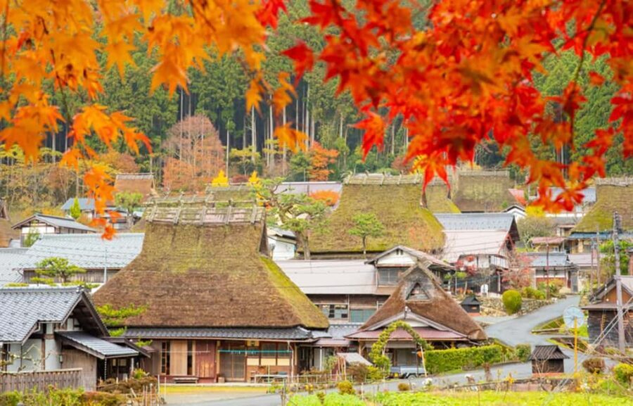 Kyoto: Miyama Village, Amanohashidate & Ine Bay Day Trip - Exploring Ine: Japan’s Venice of the Sea