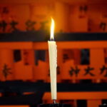 Kyoto & Nara: Day Trip Highlights Tour with a Private Car - The Experience: What Travelers Can Expect