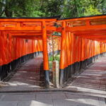 Kyoto One Day Sightseeing Tour from Osaka or Kyoto - Authentic Experiences and Insights from Travelers