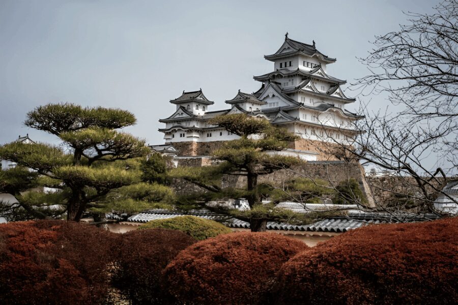 Kyoto/Osaka: Kobe & Himeji Journey Through Culture & History - The Practicalities: What You Need to Know