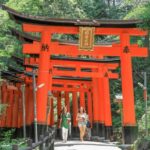 Kyoto/Osaka: Kyoto and Nara Customizable Guided Day Trip - Authentic Experiences and Real-World Insights