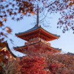 Kyoto: Personalized Guided Private Tour - Itinerary Breakdown: What to Expect